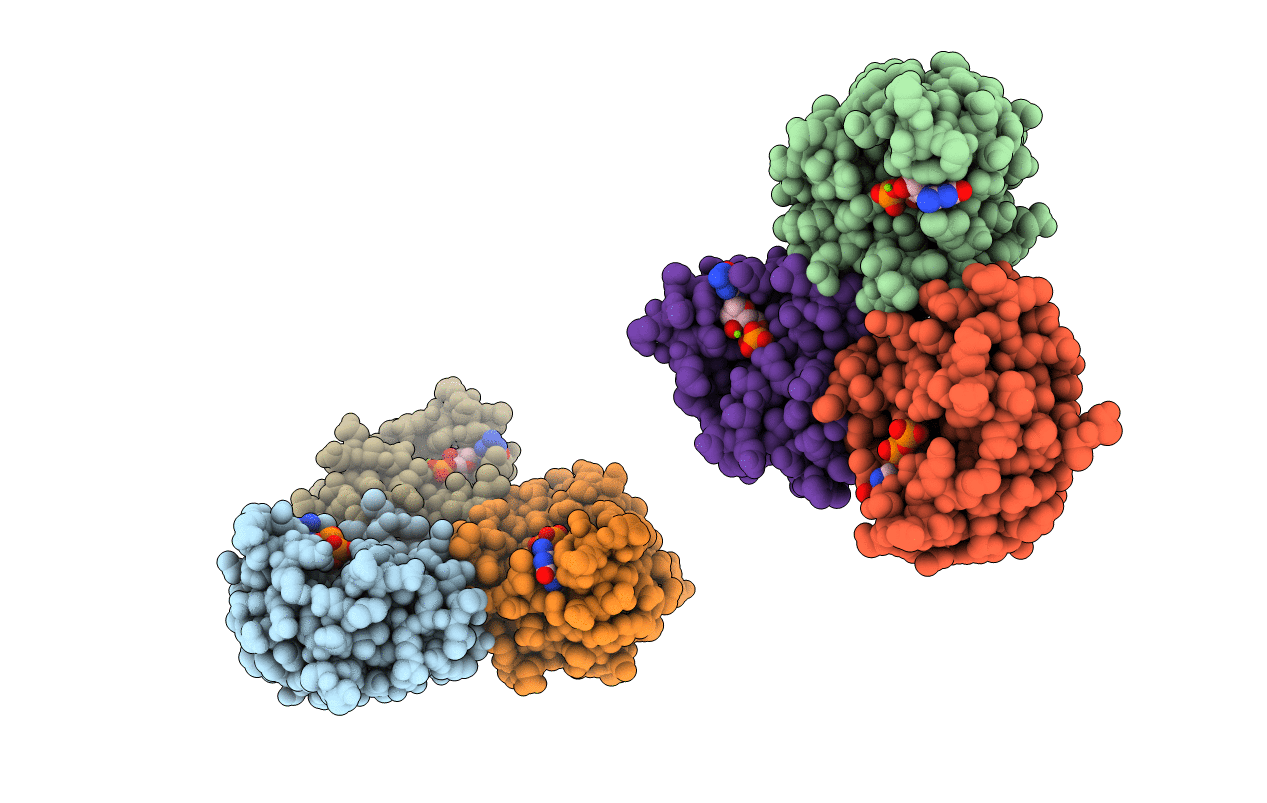 3B6B image