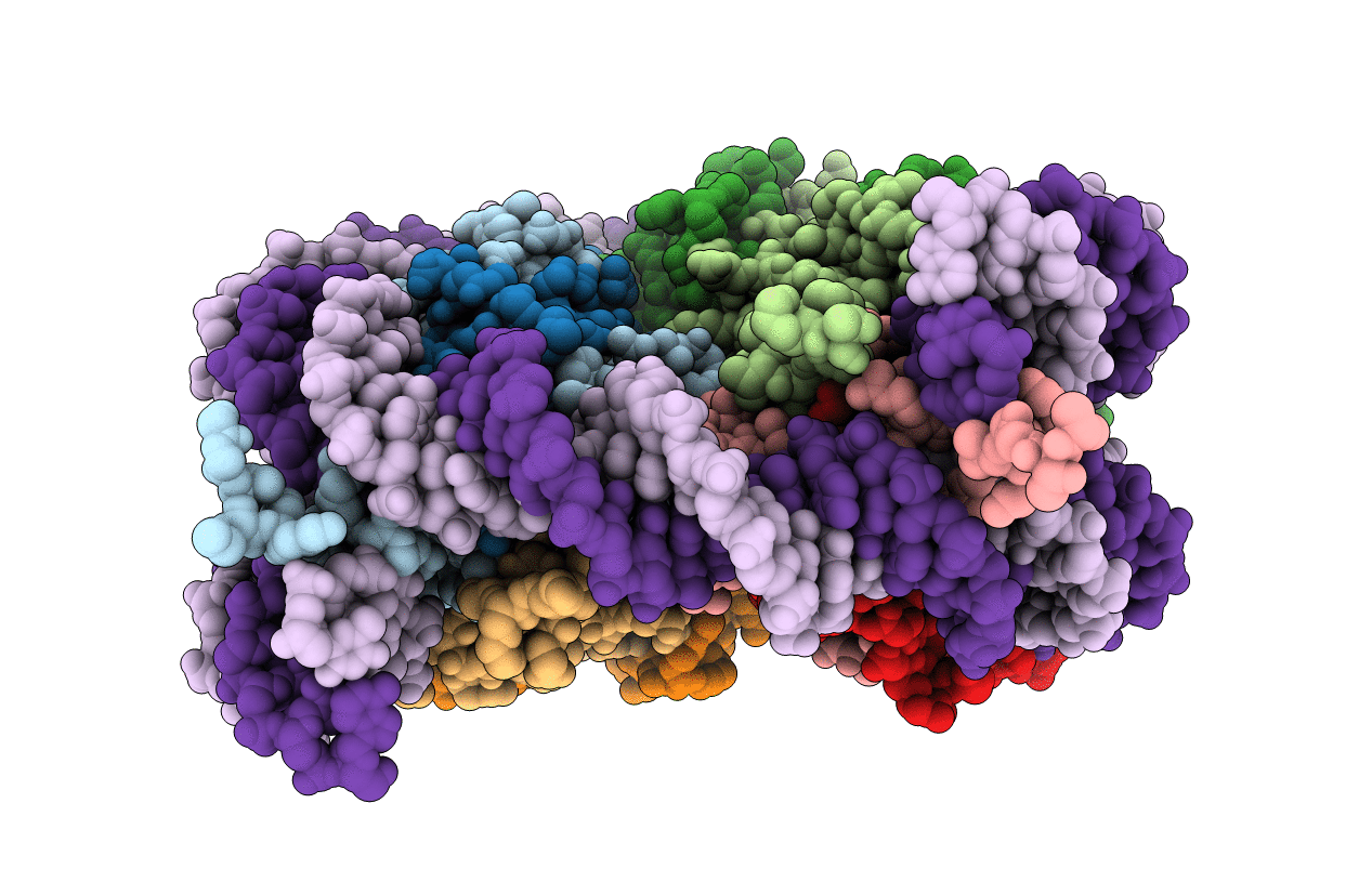 3B6G image