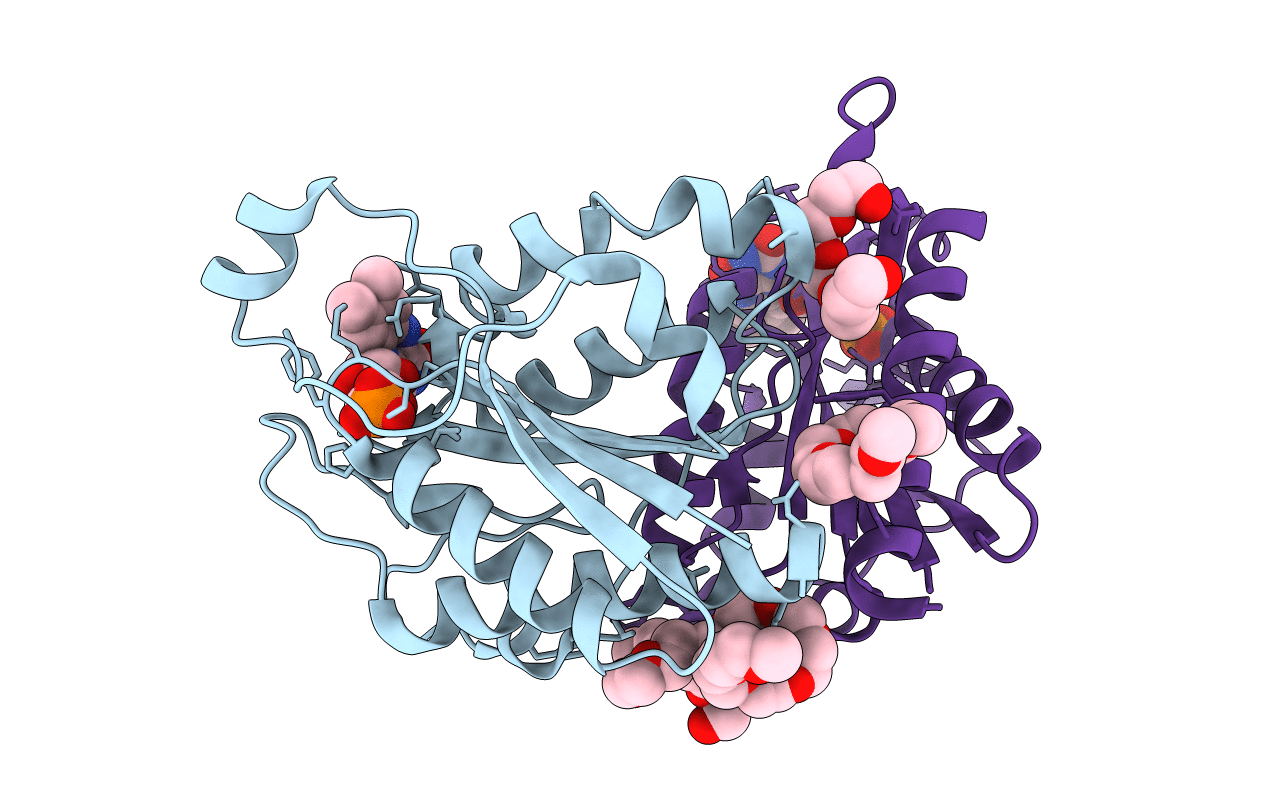 3B6I image