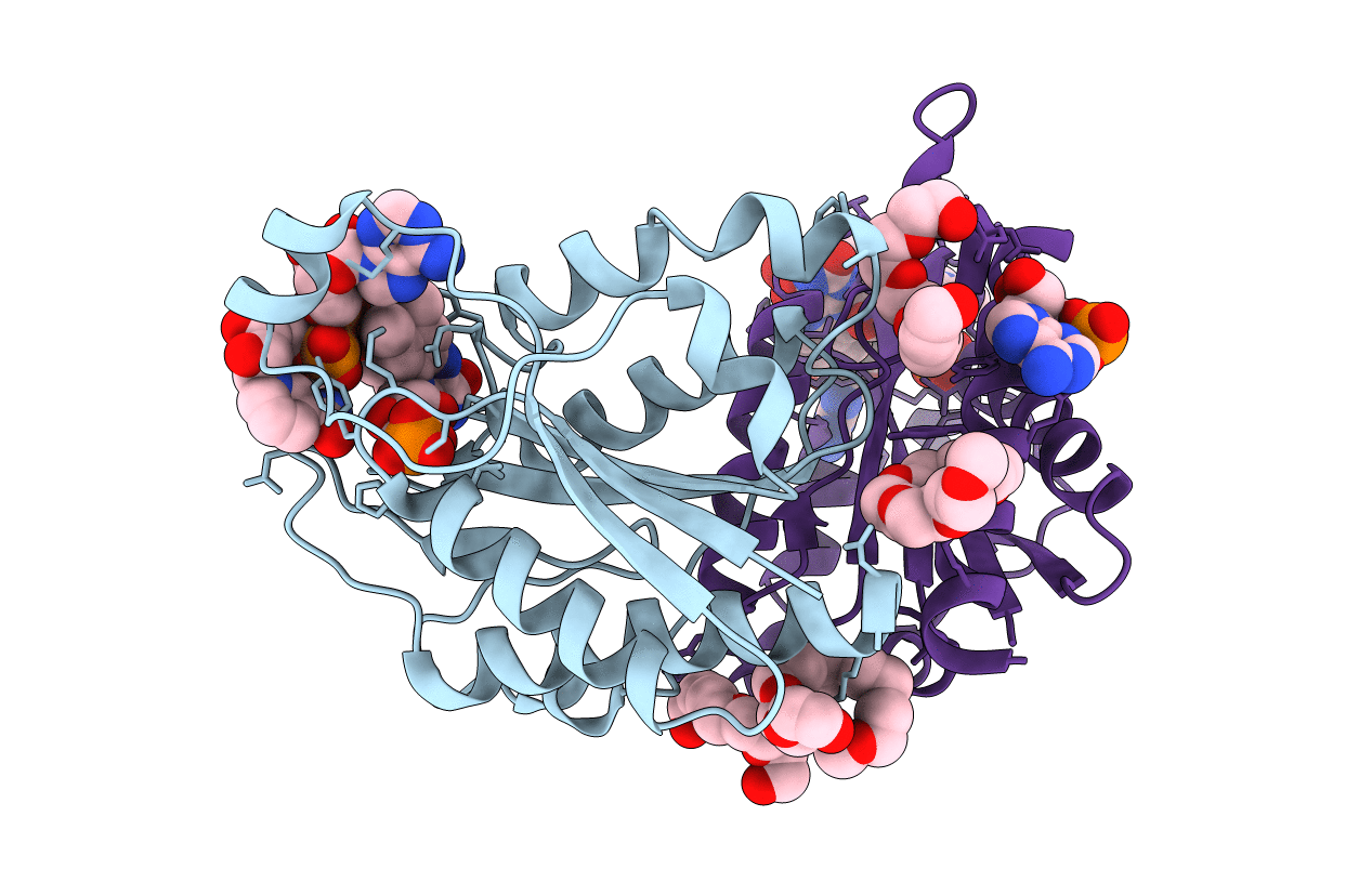 3B6J image