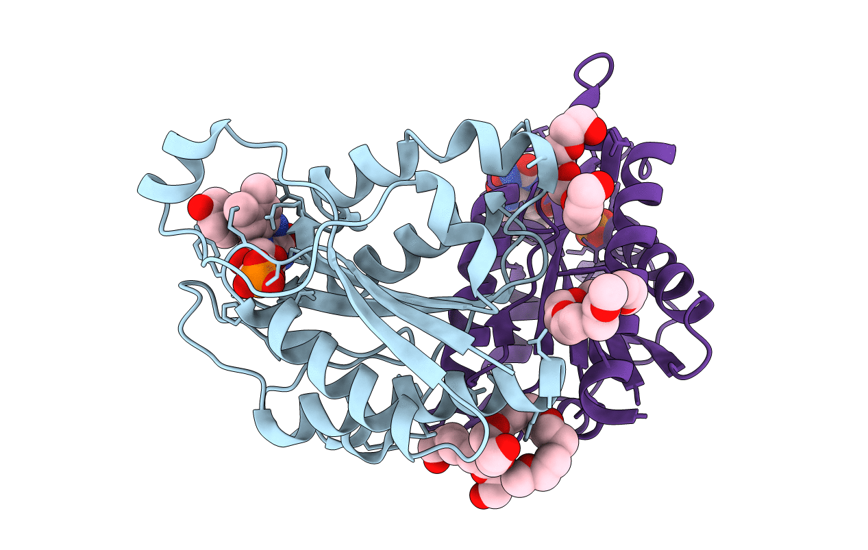 3B6K image