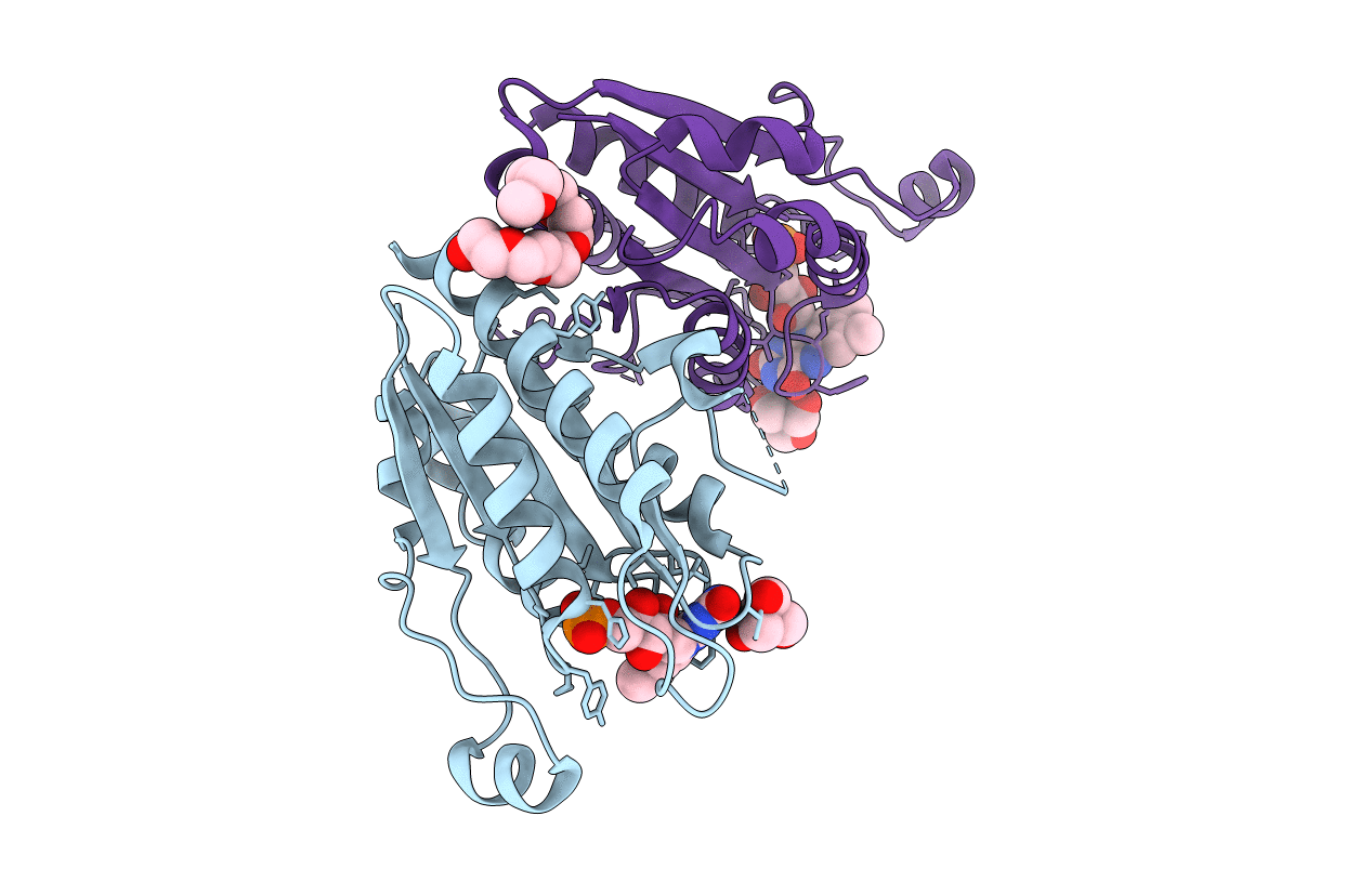 3B6M image