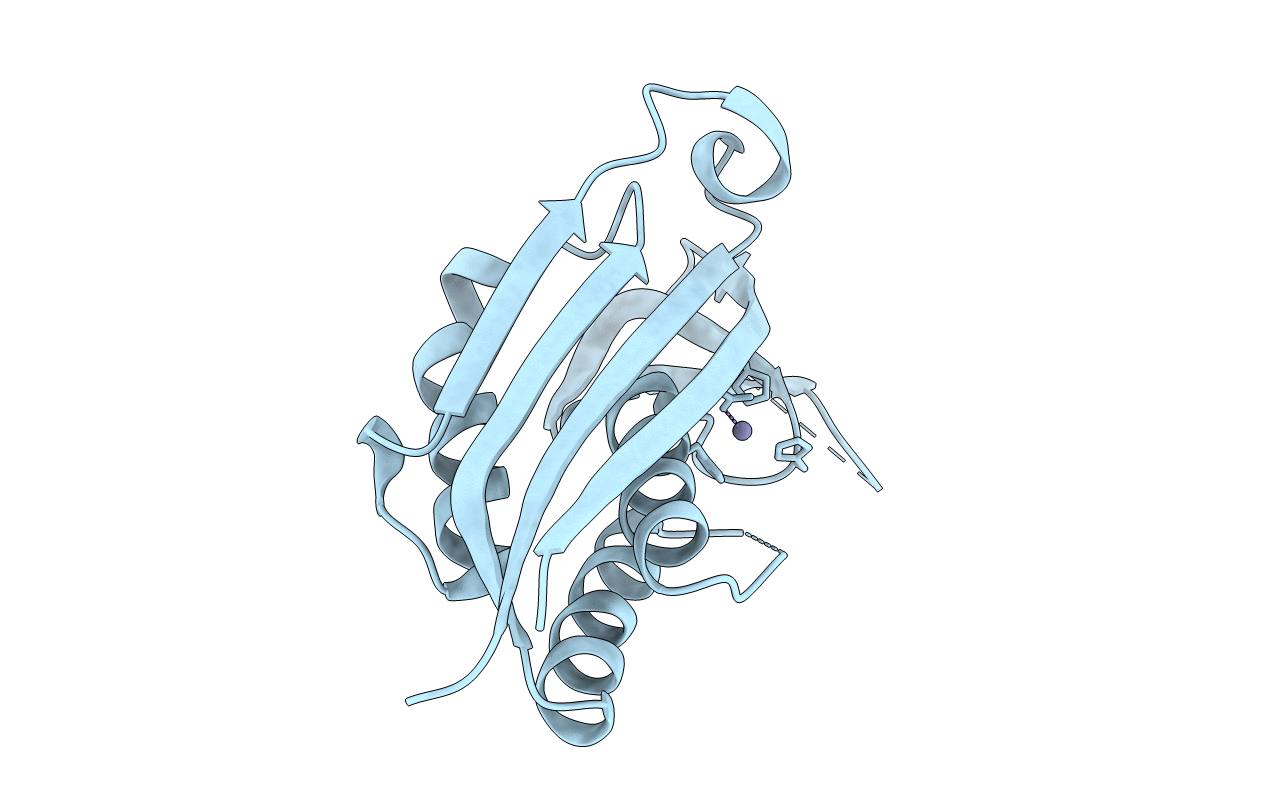 3B6N image