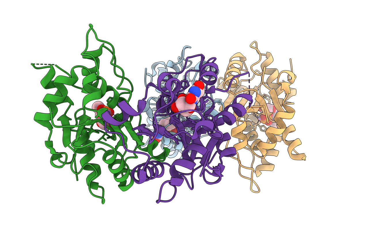 3B6O image