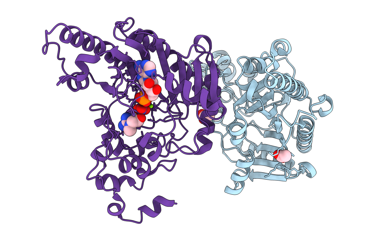 3B6R image