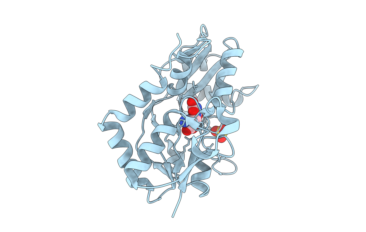 3B6T image