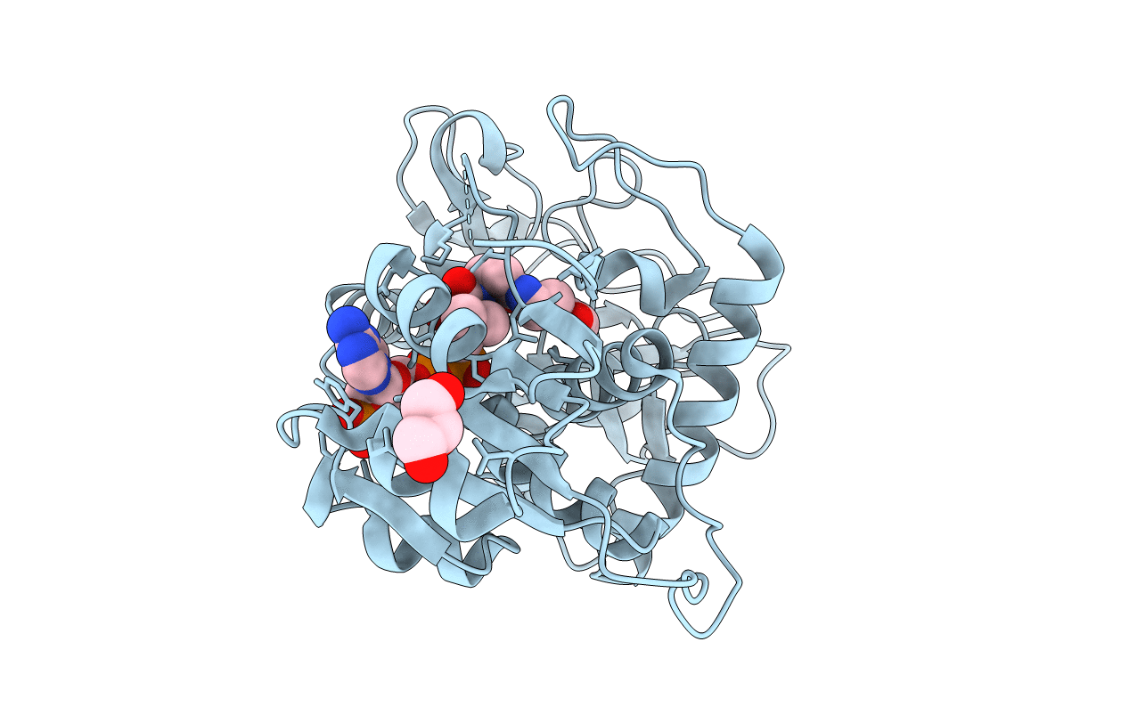 3B6Z image