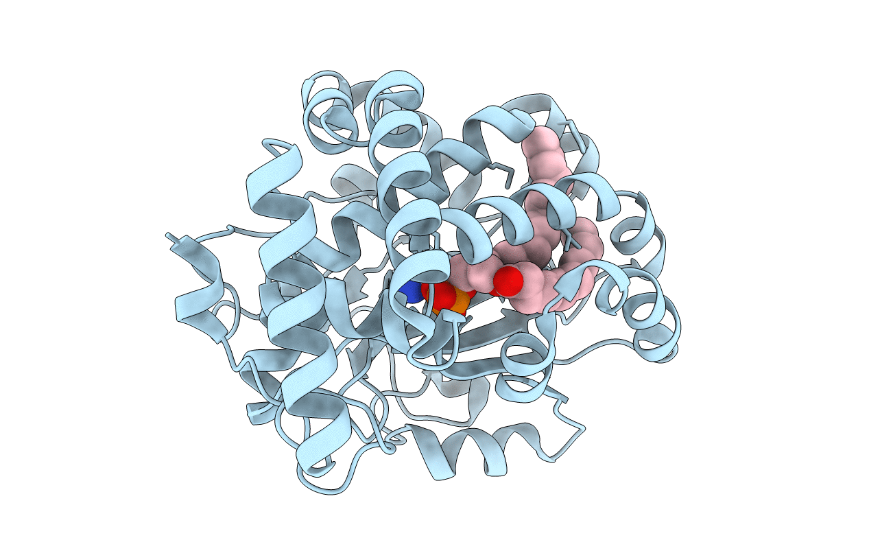 3B74 image