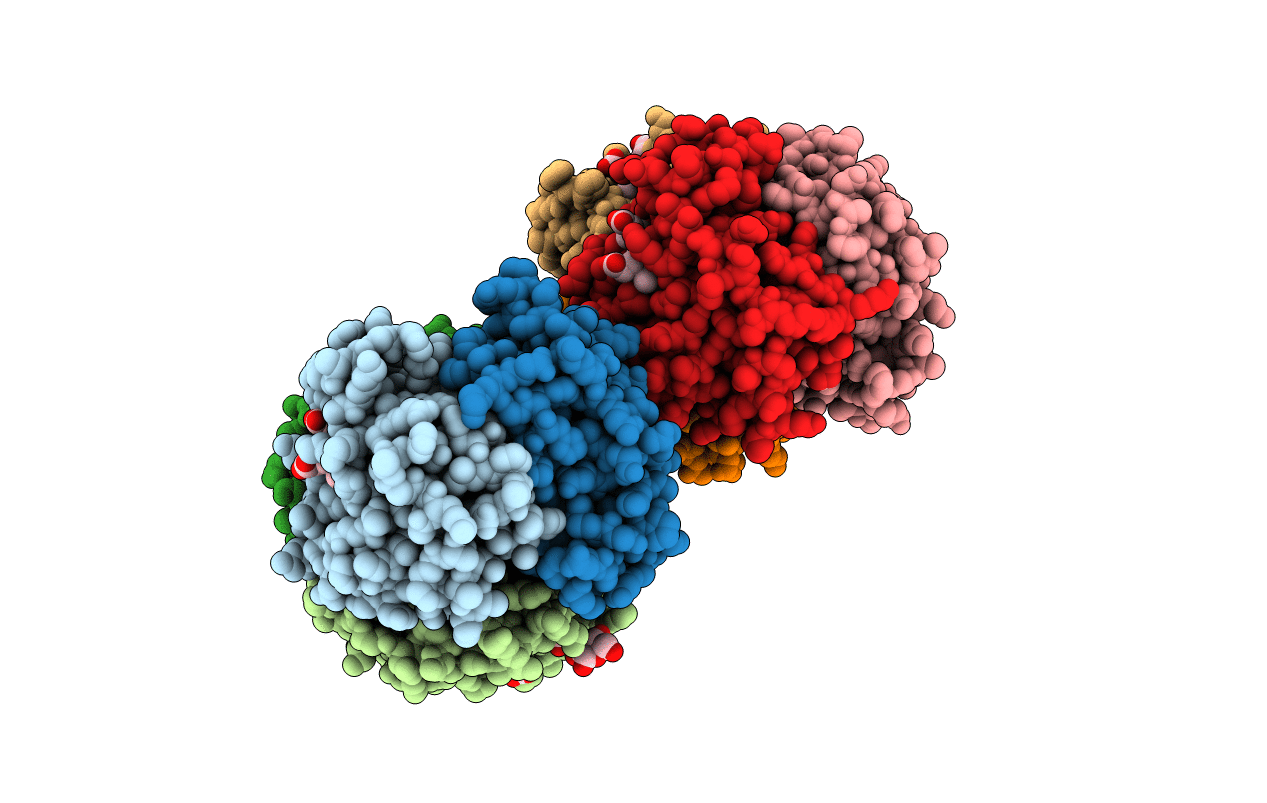 3B75 image
