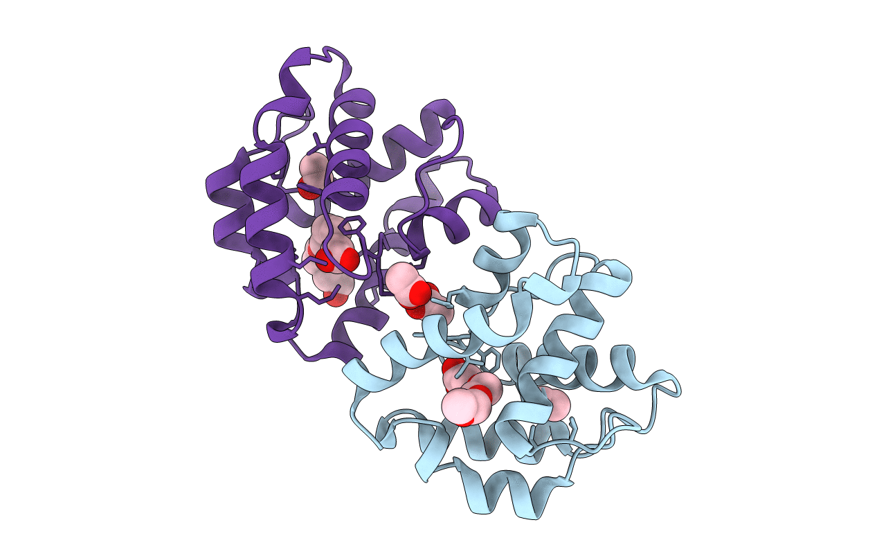 3B86 image