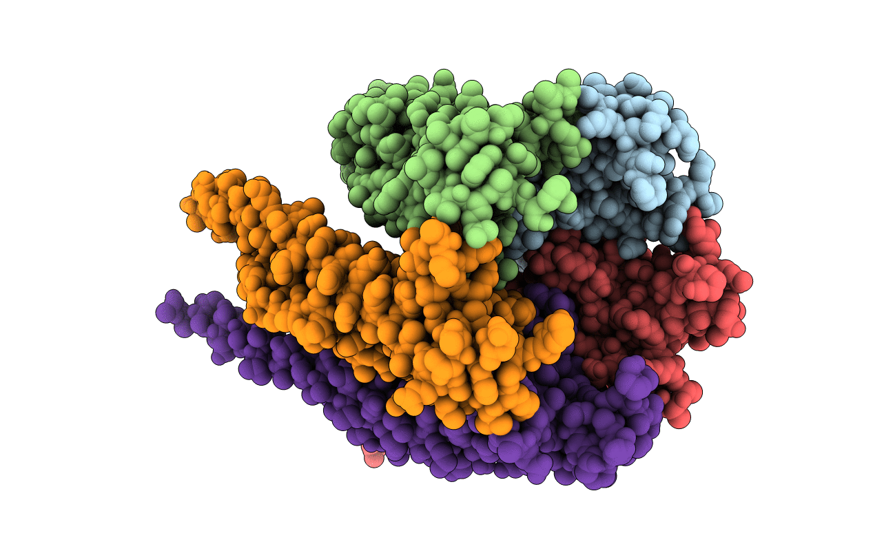 3B8P image