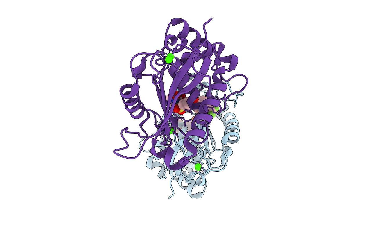 3B8Z image
