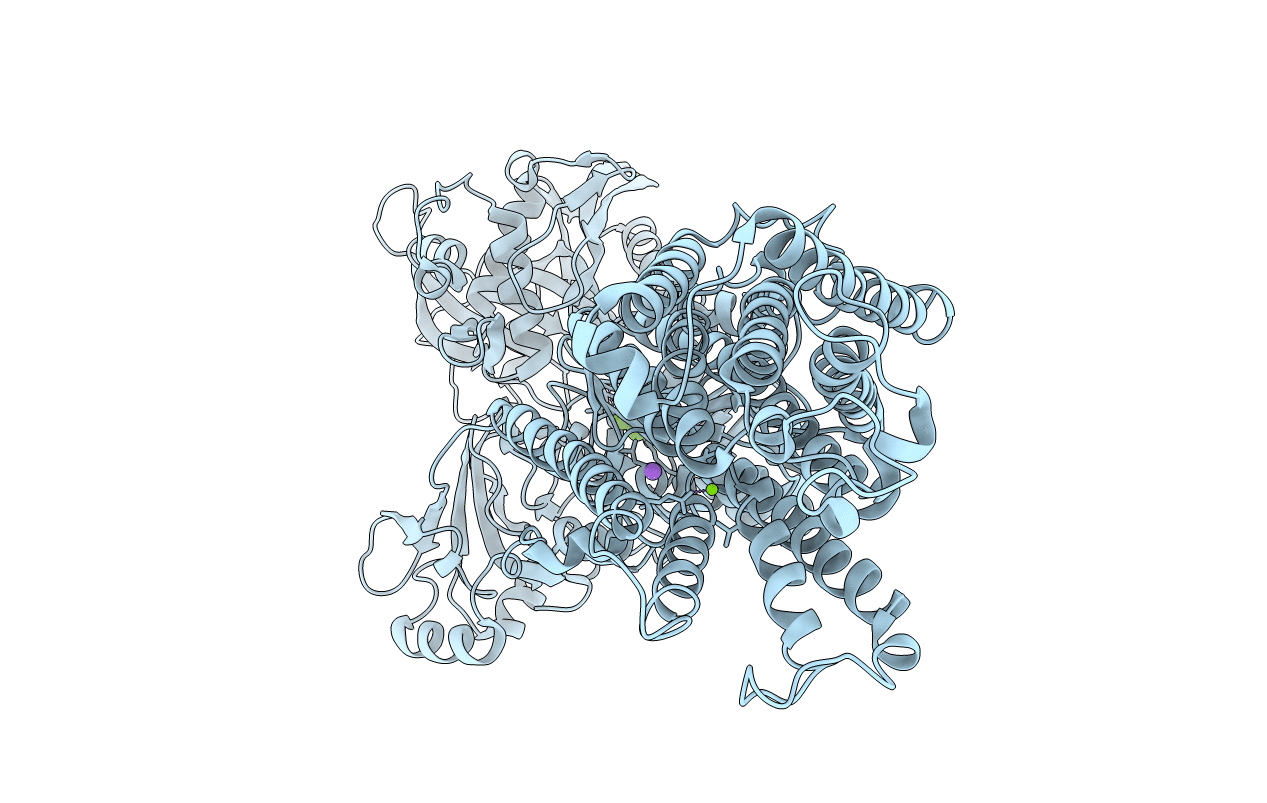 3B9B image