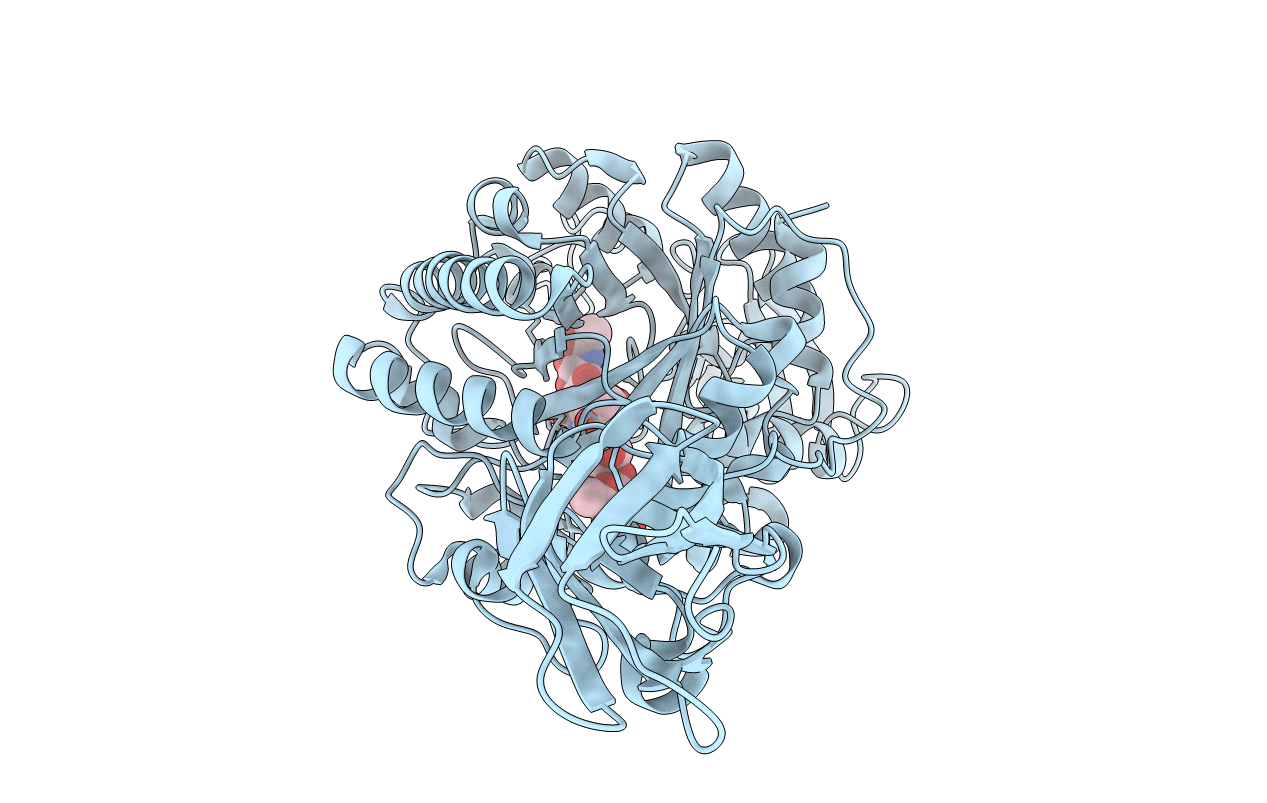 3B9D image