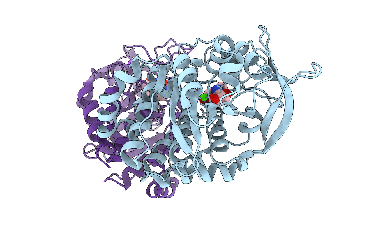 3B9G image