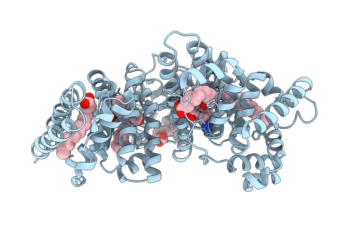 3B9M image