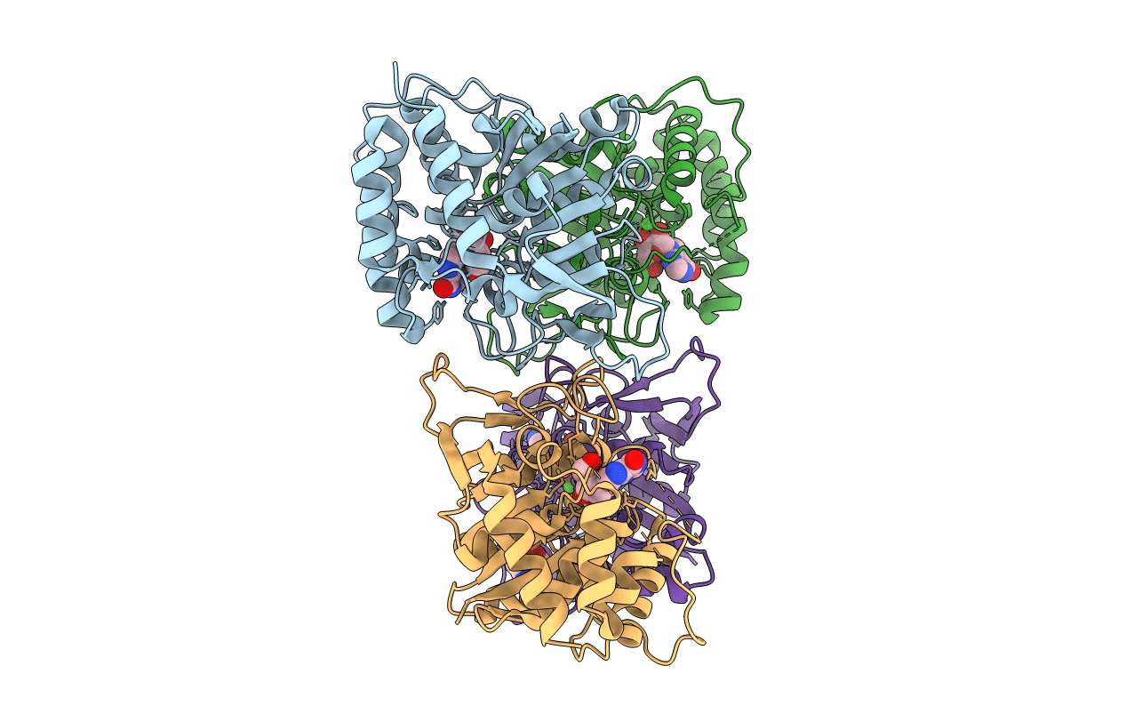 3B9X image