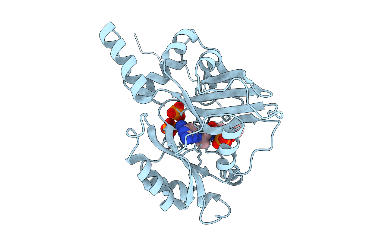 3BAC image