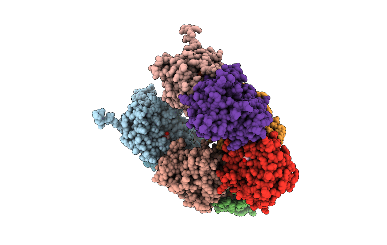 3BB1 image