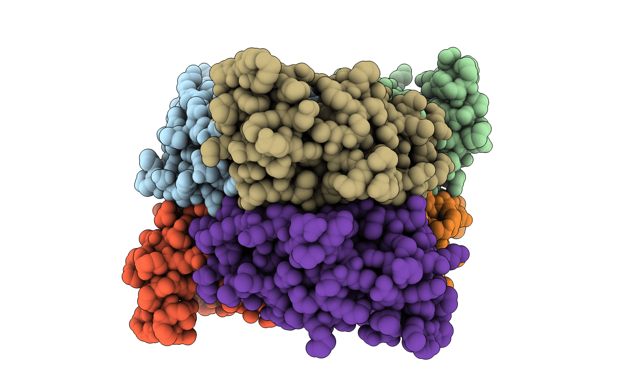 3BBC image