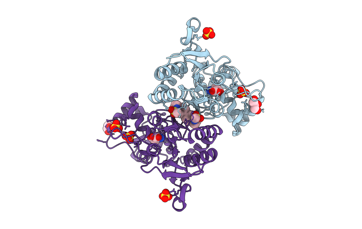 3BBR image