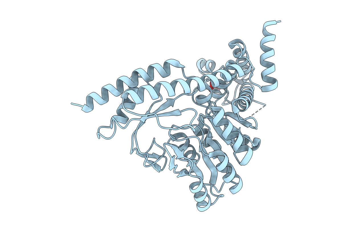3BC8 image