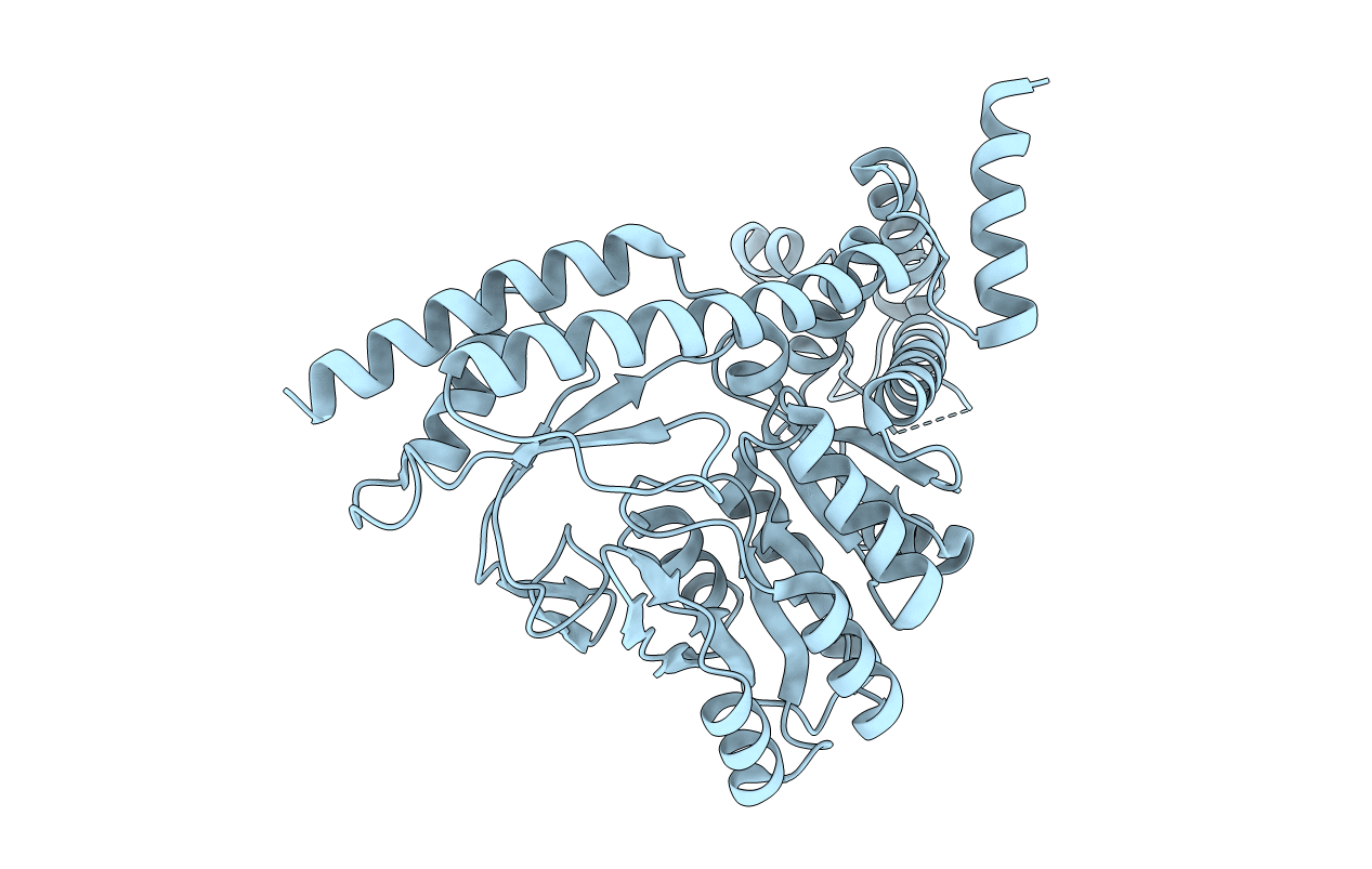 3BCA image