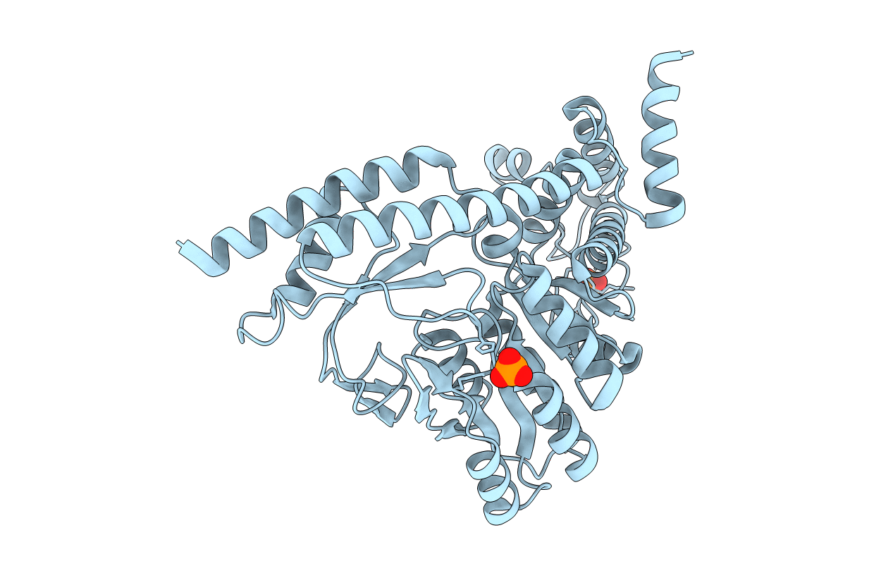 3BCB image