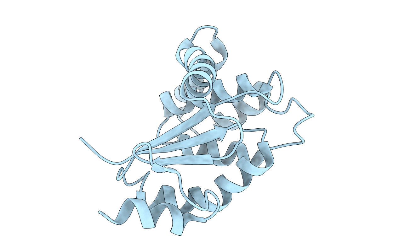 3BCI image