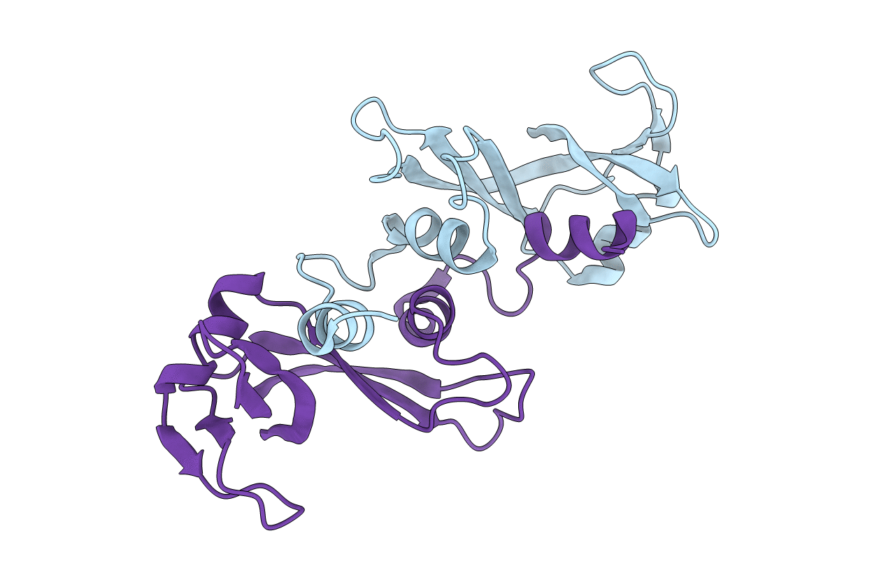 3BCO image