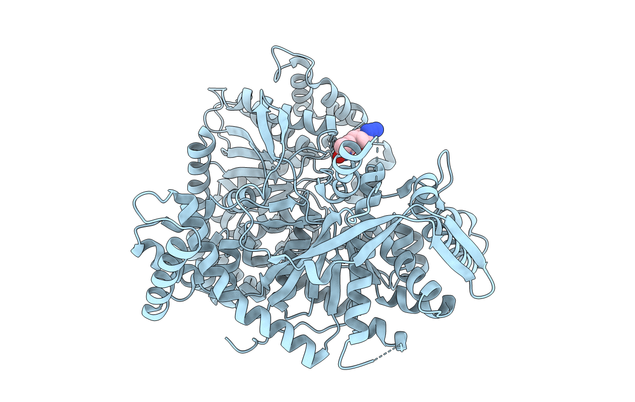 3BCR image