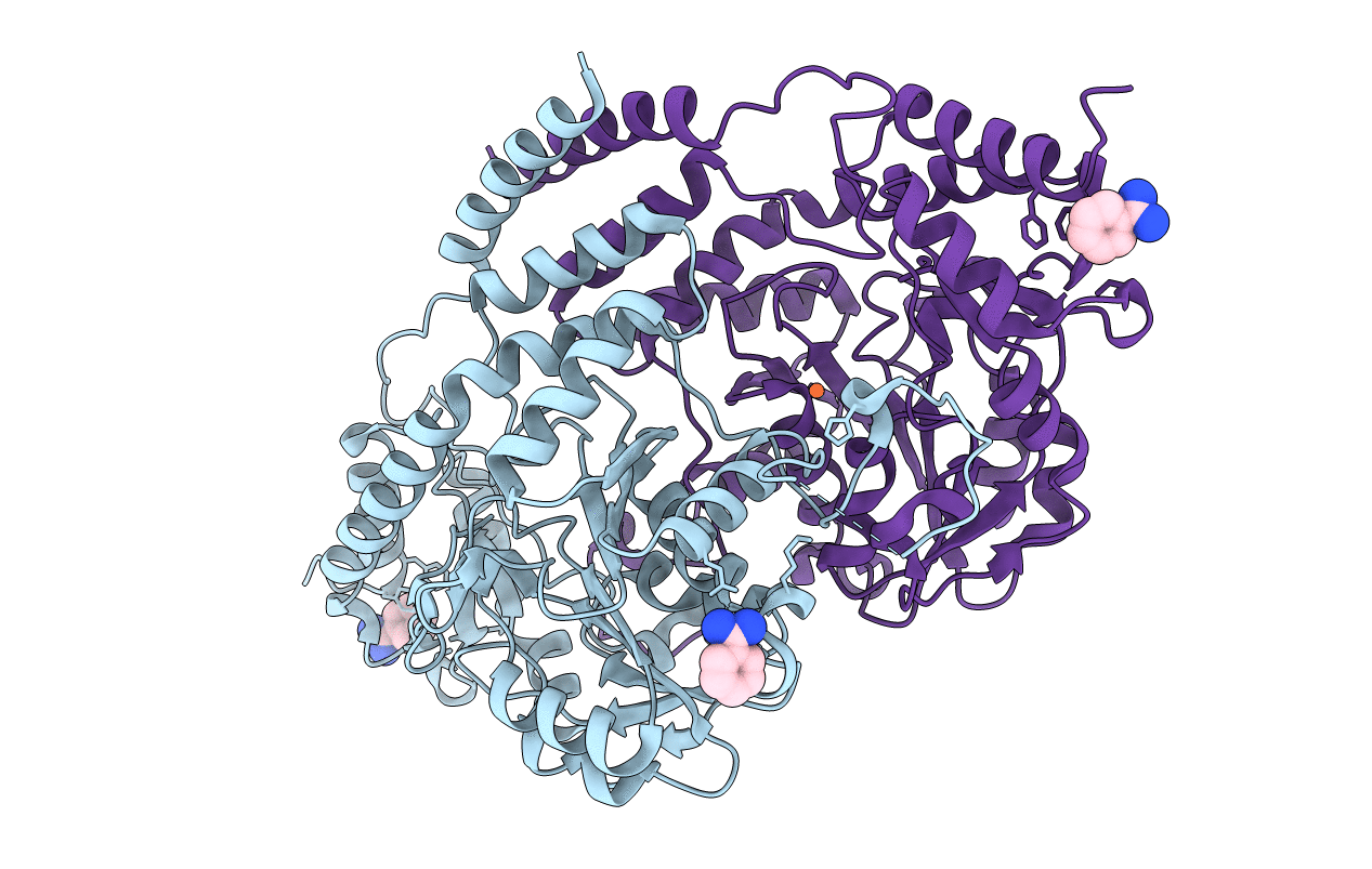 3BCX image