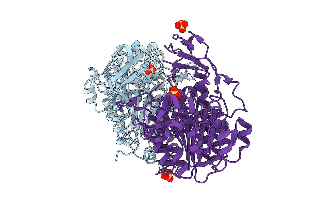 3BDF image