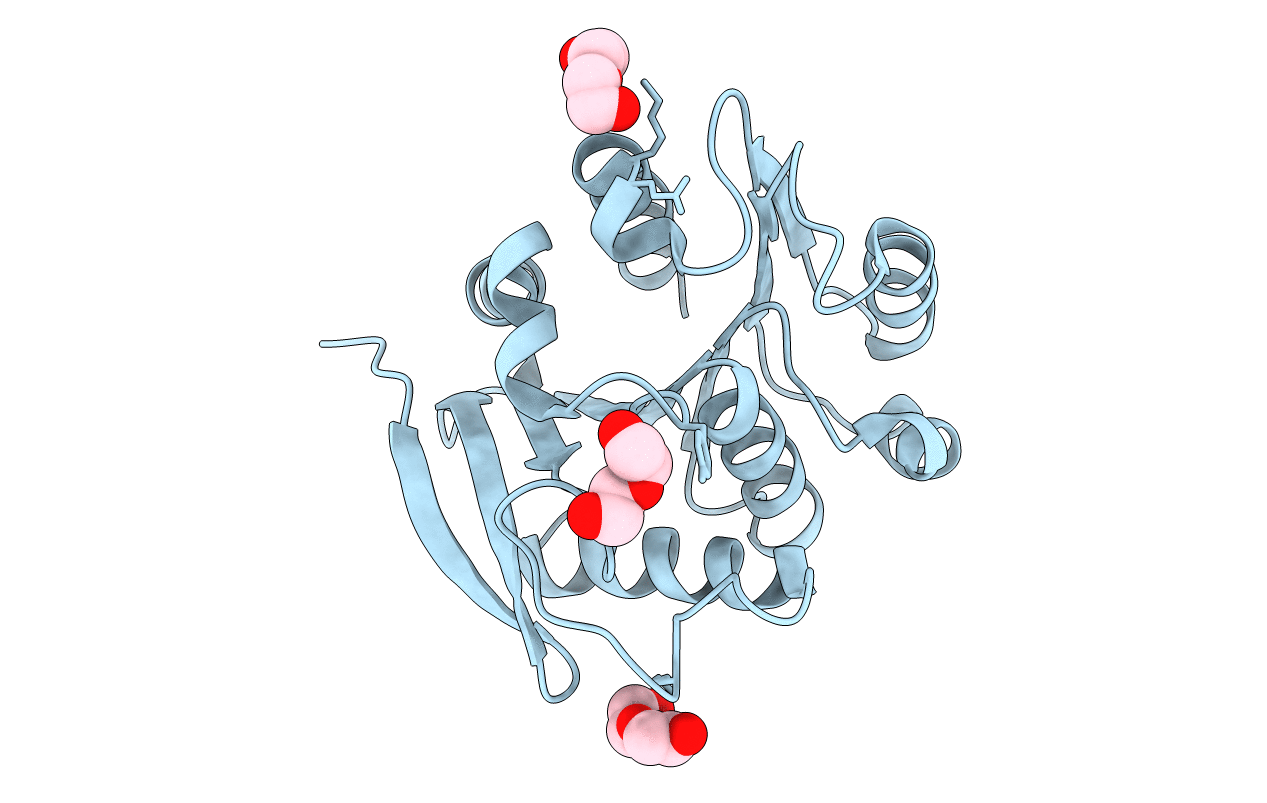 3BDI image