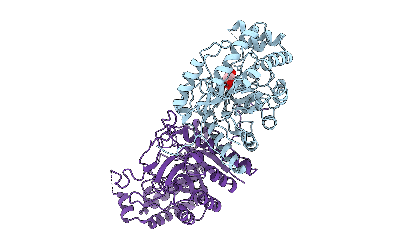 3BDK image
