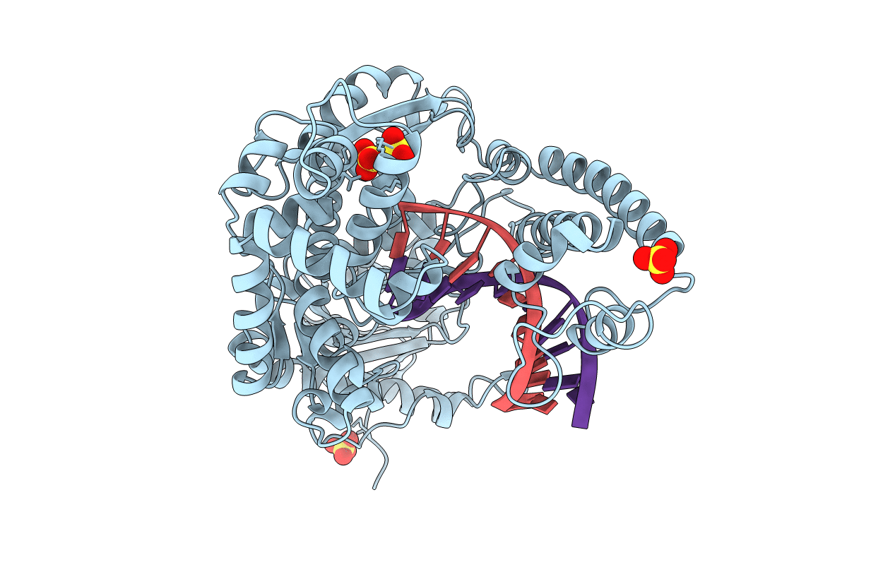 3BDP image