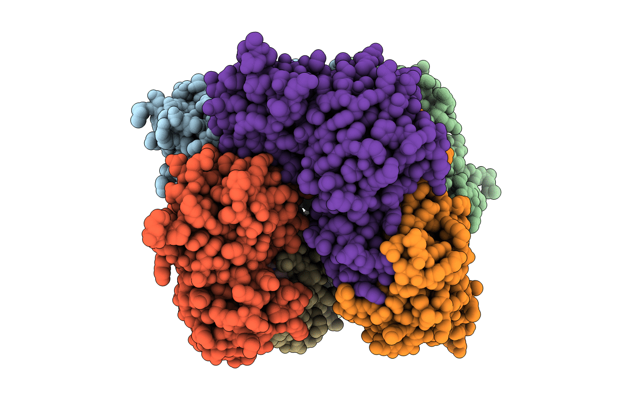 3BEX image