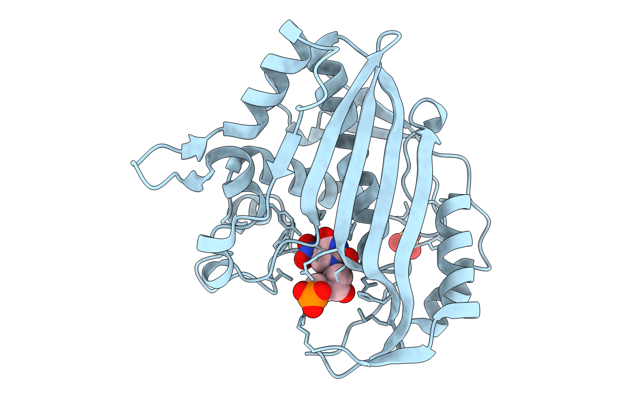 3BFI image