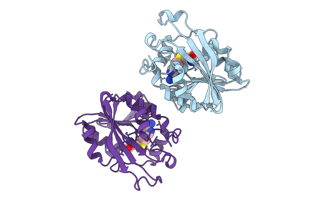 3BGI image