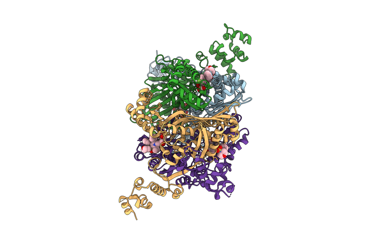 3BGL image