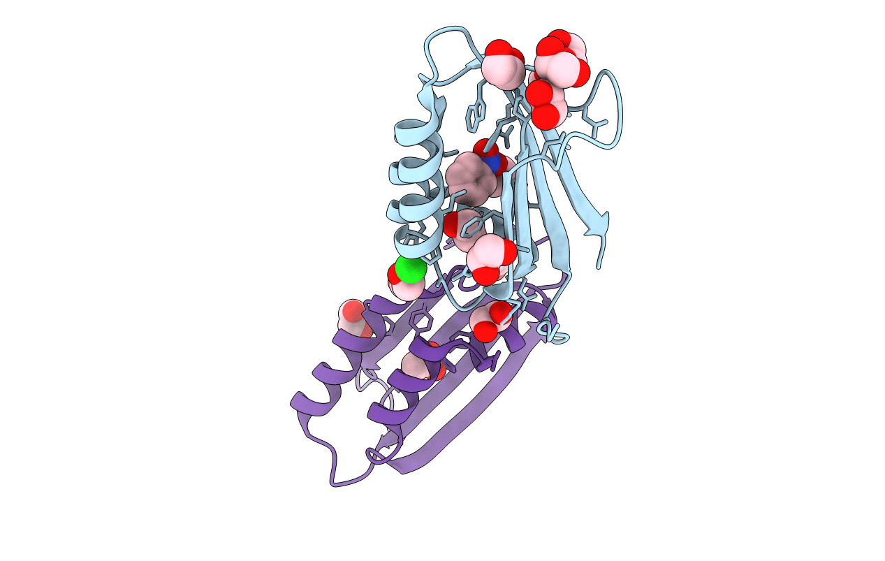3BGU image