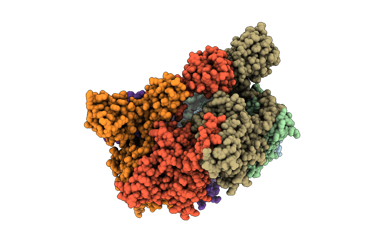 3BGW image