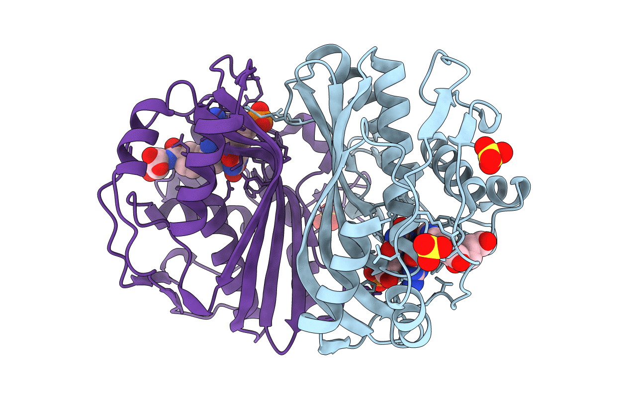 3BHL image