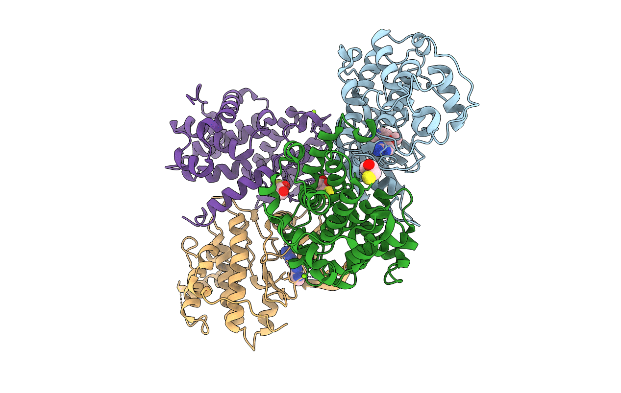 3BHT image