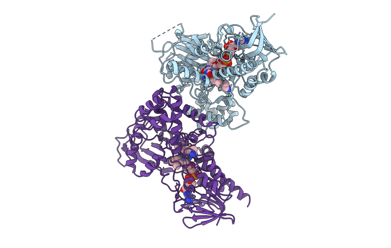 3BI2 image