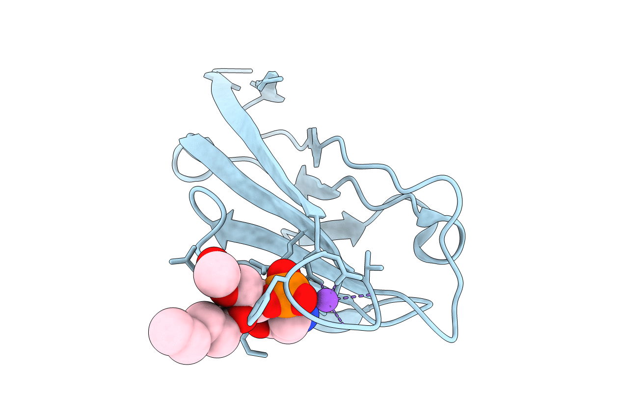 3BIB image