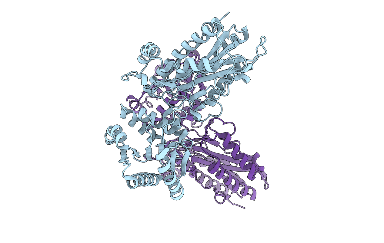 3BIP image