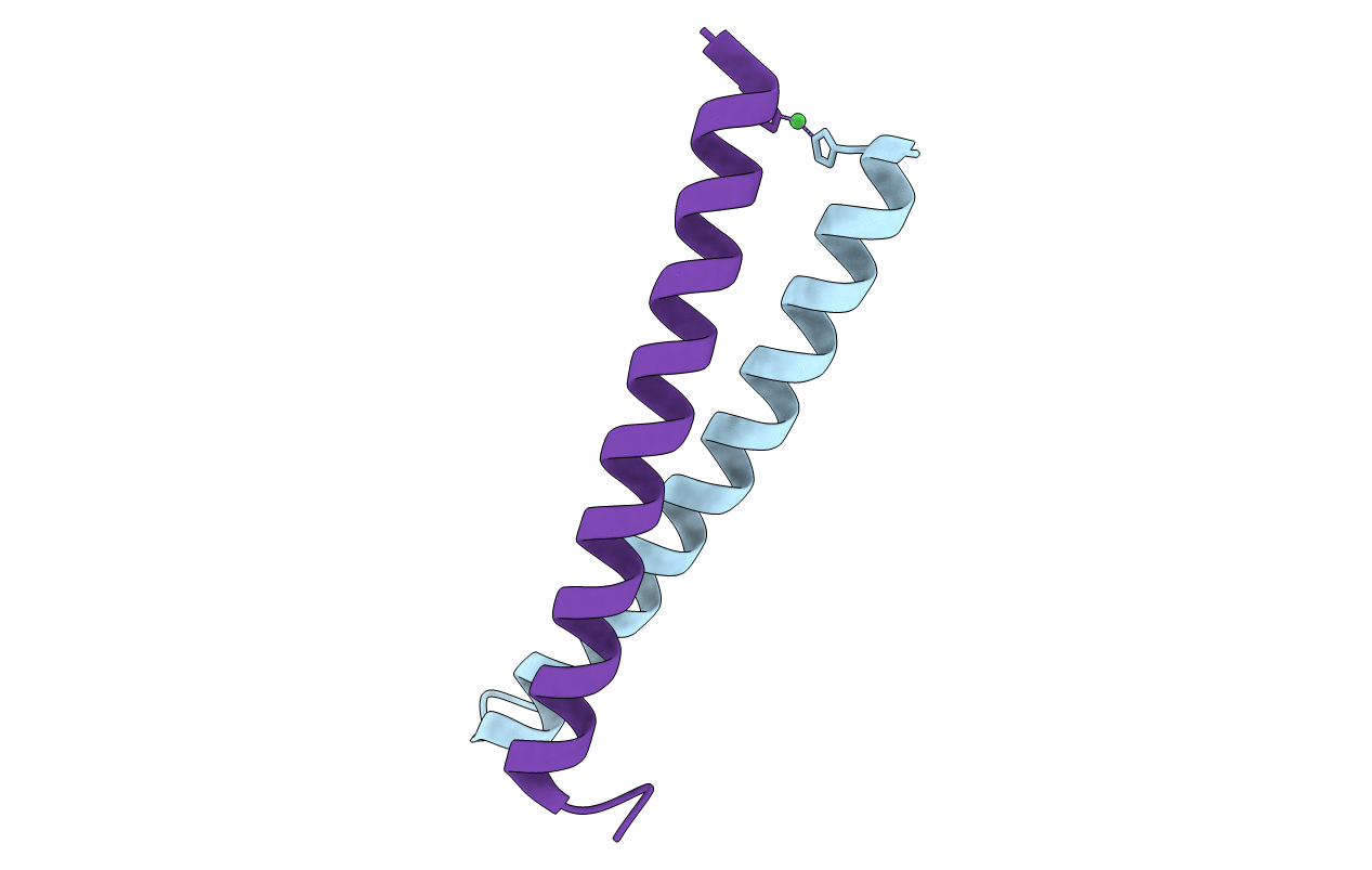 3BJ4 image