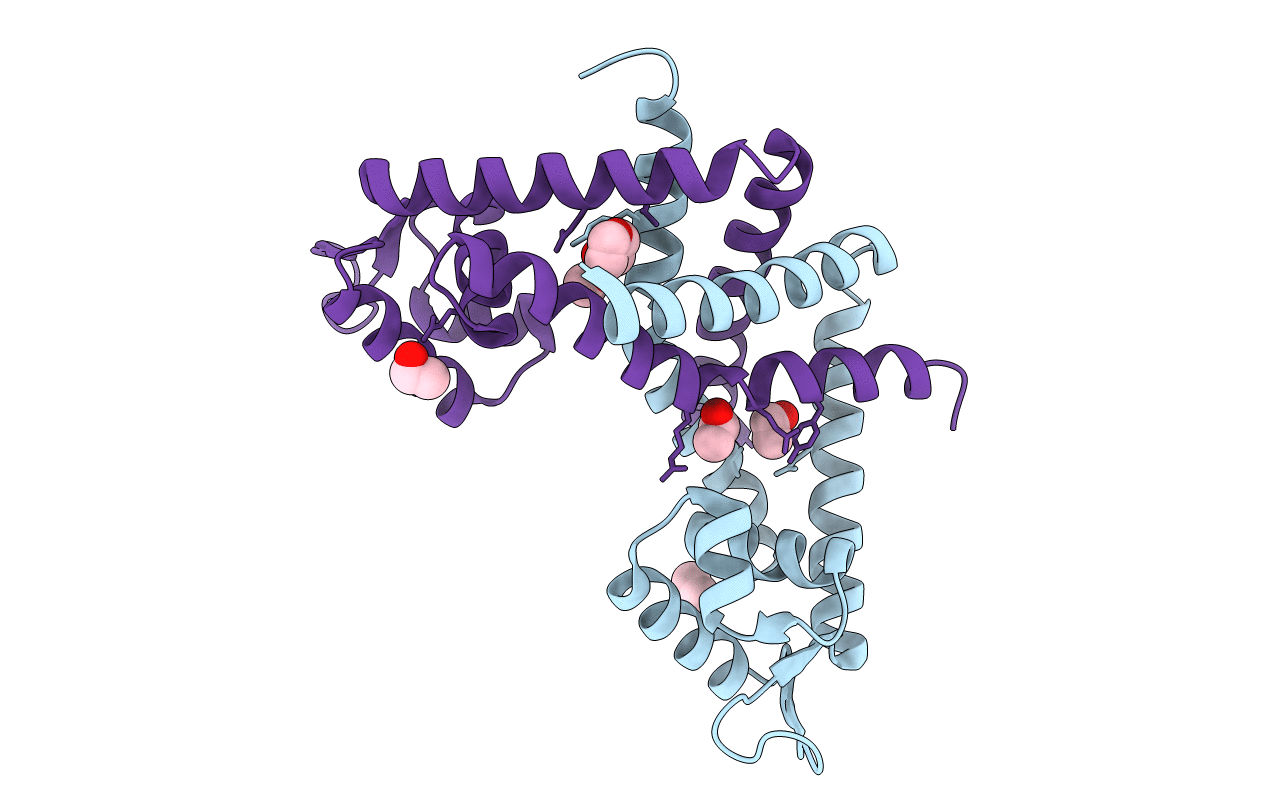 3BJ6 image