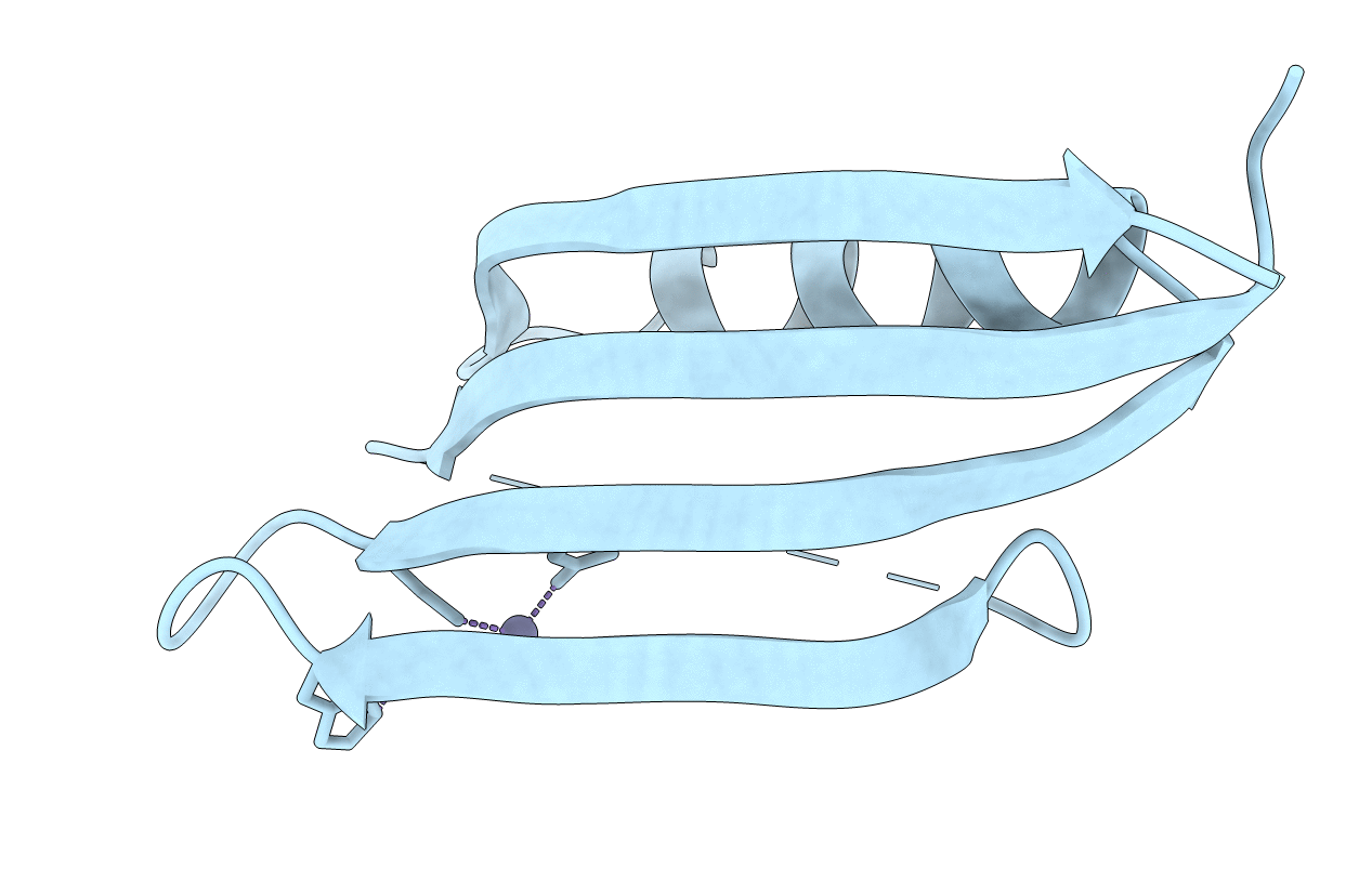 3BKF image